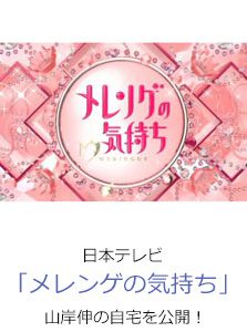 日本テレビ「メレンゲの気持ち」